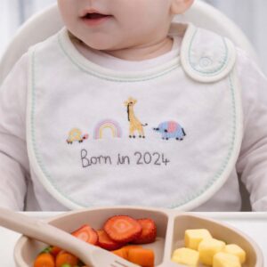 Born in 2024 embroidered baby bib worn during feeding time